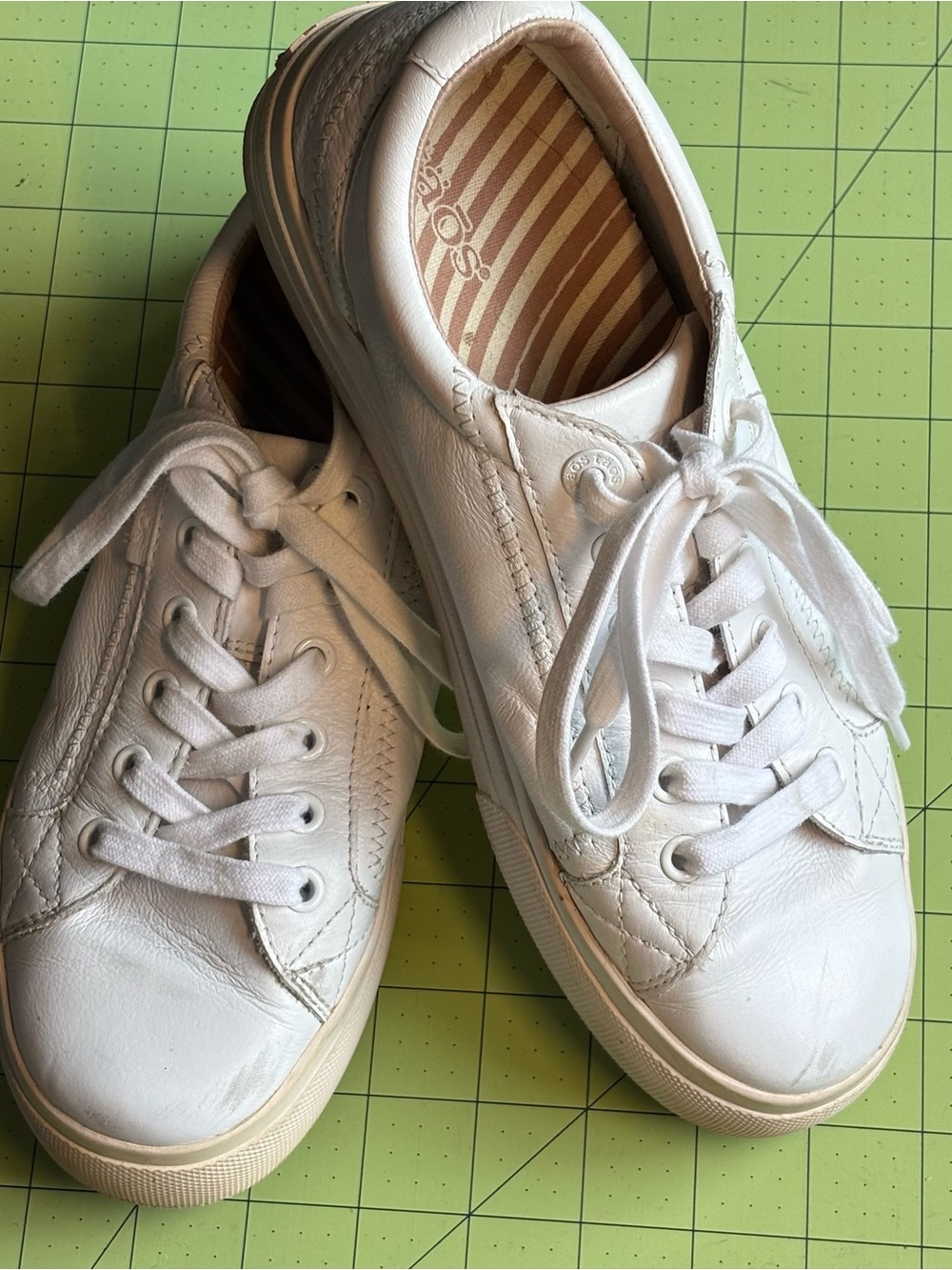 TAOS Plim Soul All Leather Sneakers Sz 7.5 

Discontinued model.  Glove leather